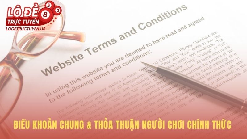 Điều khoản điều kiện là nền móng cho mọi tương tác