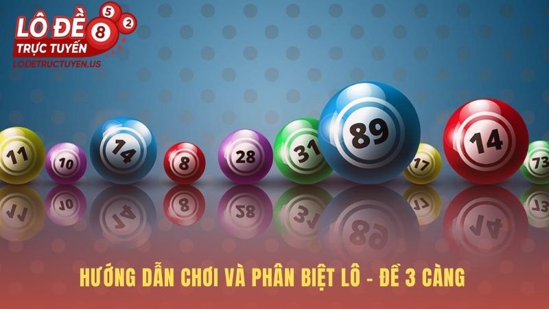 Phân biệt đề 3 càng qua cách dò kết quả và xác suất trúng